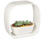 Lampe LED ludique avec jardinière intégrée