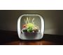 Lampe LED ludique avec jardinière intégrée - JARDINICE