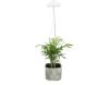 Lampe de croissance pour plantes ampoule led - 17,90