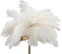 Lampe à poser en métal Palm 40 x 55 cm - 99,90
