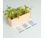 Mini potager d’herbes aromatiques - MAN-0136