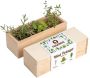 Mini potager d’herbes aromatiques