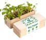 Mini potager d’herbes aromatiques