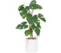 Monstera artificiel pot en céramique 50 cm