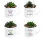 Mugs avec plantes artificielles Jacques a dit (Lot de 4)