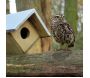 Nichoir pour chouette chevêche - BEST FOR BIRDS