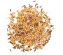 Nourriture pour écureuil Wild 750 gr - BEST FOR BIRDS