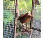 Oiseau décoratif en fer forgé rouillé - 11,90