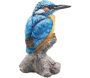 Oiseau martin pêcheur sur tronc en résine
