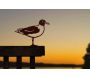Oiseau sur pique goeland chthyaete en acier corten - METALBIRD