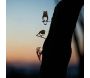 Oiseaux à planter taille mini en acier corten (Lot de 3) - METALBIRD