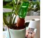 Ollas à planter en argile Cône - 8,90