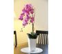 Orchidée fuchsia en pot blanc - LIGNE DECO