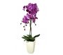 Orchidée fuchsia en pot blanc