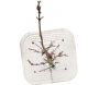 Paillage en fibres recyclées (Lot de 50)