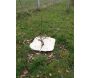 Paillage en fibres recyclées (Lot de 50) - PM ENVIRONNEMENT