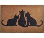 Paillasson en PVC 40 x 60 cm Door