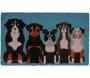Paillasson en fibres de coco Pets