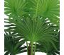 Palmier éventail artificiel 6 palmes toucher naturel 70 cm - 