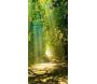 Papier-peint pour porte - Sunny Avenue