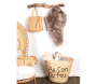 Patère branche naturelle en pin recyclé - 6