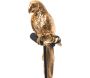 Perroquet décoratif sur pied 52 cm - AMADEUS