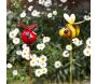 Pic de jardin à planter Barmy Insectes - SMART GARDEN PRODUCTS