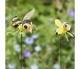 Pic de jardin à planter Loony Abeilles - SMART GARDEN PRODUCTS