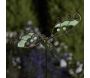 Pic de jardin à planter Papillon phosporescent - SMA-0146