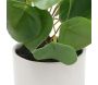 Pilea artificiel toucher naturel pot céramique - 10,90