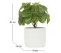 Pilea artificielle pot effet ciment 23 cm - SOV-0183