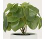 Pilea artificielle pot effet ciment 23 cm - LIGNE DECO