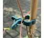 Pinces de fixation en plastique pour plantes (Lot de 10) - GARLAND