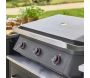 Plancha G800 3 brûleurs 7 kW - 9