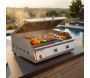 Plancha électrique en Inox qualité pro BBPlancha - GARDEN ALL