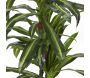Plante artificielle Dracaena 160 cm - THE HOME DECO FACTORY