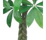 Plante artificielle Pachira 155 cm - CMP-3929