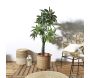 Plante artificielle Pachira 155 cm - THE HOME DECO FACTORY