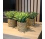 Plante artificielle avec pot tressé (Lot de 3) - SIF-0553