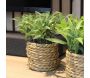 Plante artificielle avec pot tressé (Lot de 3) - 13,90