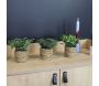Plante artificielle avec pot tressé (Lot de 3) - SIL