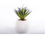 Plante succulente artificielle avec pot ananas 22 cm - SIL