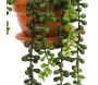 Plantes artificielles en pot terracotta (Lot de 3) - 29,90