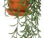 Plantes artificielles en pot terracotta (Lot de 3) - SIL