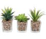 Plantes artificielles dans pot en verre 6.5 x 6.5 x 17 cm (Lot de 3)