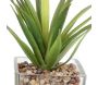 Plantes artificielles dans pot en verre 6.5 x 6.5 x 17 cm (Lot de 3) - 16,90