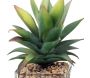 Plantes artificielles dans pot en verre 6.5 x 6.5 x 17 cm (Lot de 3) - SIL