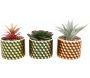 Plantes succulentes artificielles Cubic (Lot de 3)