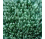 Plaques clipsables de feuillage artificiel 1m² (Lot de 4) - JET7GARDEN