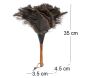 Plumeau en plumes d'autruche - BURSTENHAUS REDECKER